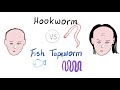 Hookworm Vs Fish Tapeworm Ancylostoma Necator Vs Diphyllobothrium Latum Microbiology Hookworm Vs Fish Tapeworm Ancylostoma Necator Vs Diphyllobothrium Latum Microbiology