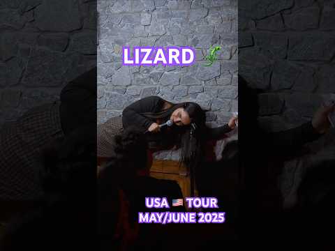 LIZARDS 🦎