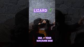 LIZARDS 🦎