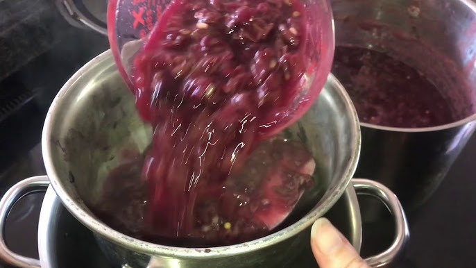Canned Grape Juice Concentrate - Wyse Guide