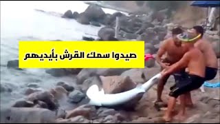 لا يحدث إلا في الجزائر | شباب من سكيكدة يصطادون سمك القرش بأيديهم - حتى القرش ويخاف من الجزائريين⁦✔