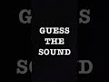 Can You Guess This Winter Sound? ❄️ | ASMR Short #asmr #guessthesound #shorts #mystery #cozy #winter