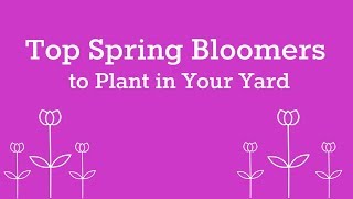 10 Must-Have Spring Blooming Shrubs for Your Garden | By Proven Winners