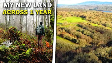 MY NEW LAND ACROSS A FULL YEAR | Four Seasons, Wild Animals, Forest and Creek