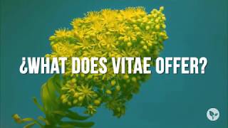 Vitae Token - Growing Global Prosperity!