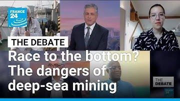 Race to the bottom? The dangers of deep-sea mining • FRANCE 24 English