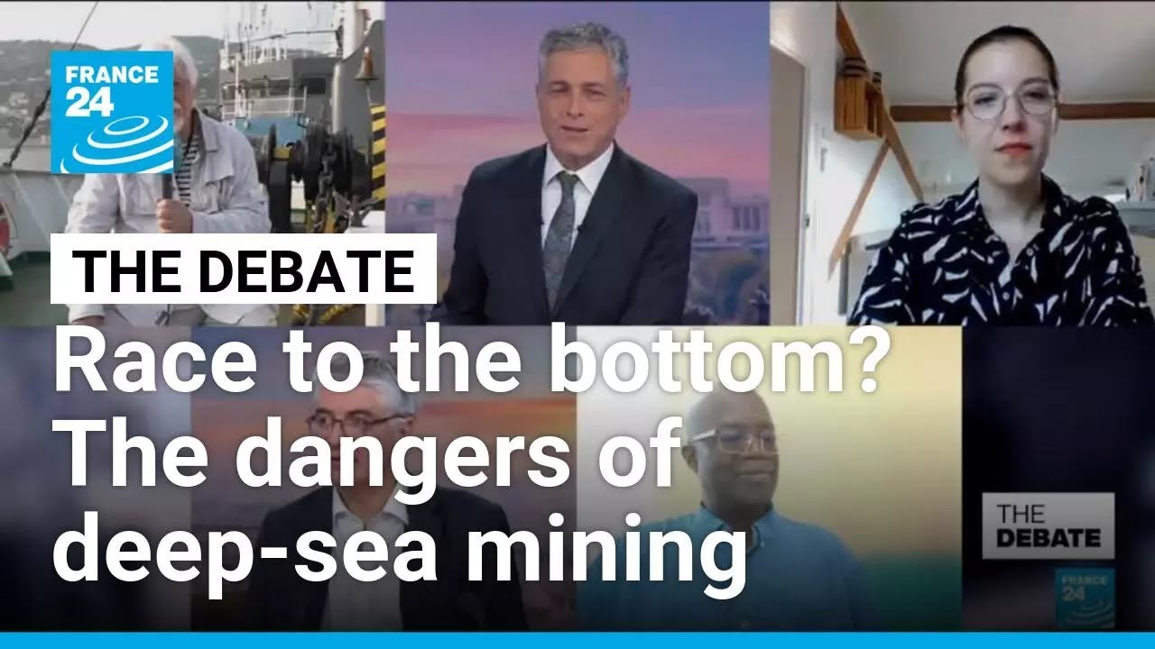 Race to the bottom? The dangers of deep-sea mining • FRANCE 24 English ...
