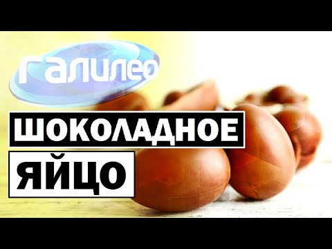 Галилео | Шоколадное яйцо 🍫🥚 [Chocolate egg]