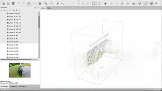 Quick Tip: Align Select Cameras in Metashape