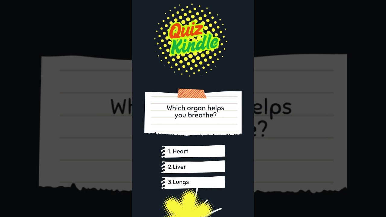 What Organ Helps You Breathe? 🌬️ 