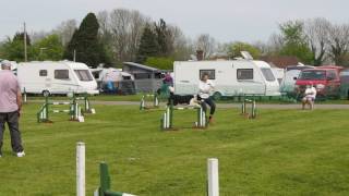 G3 Jumping at Ardingly