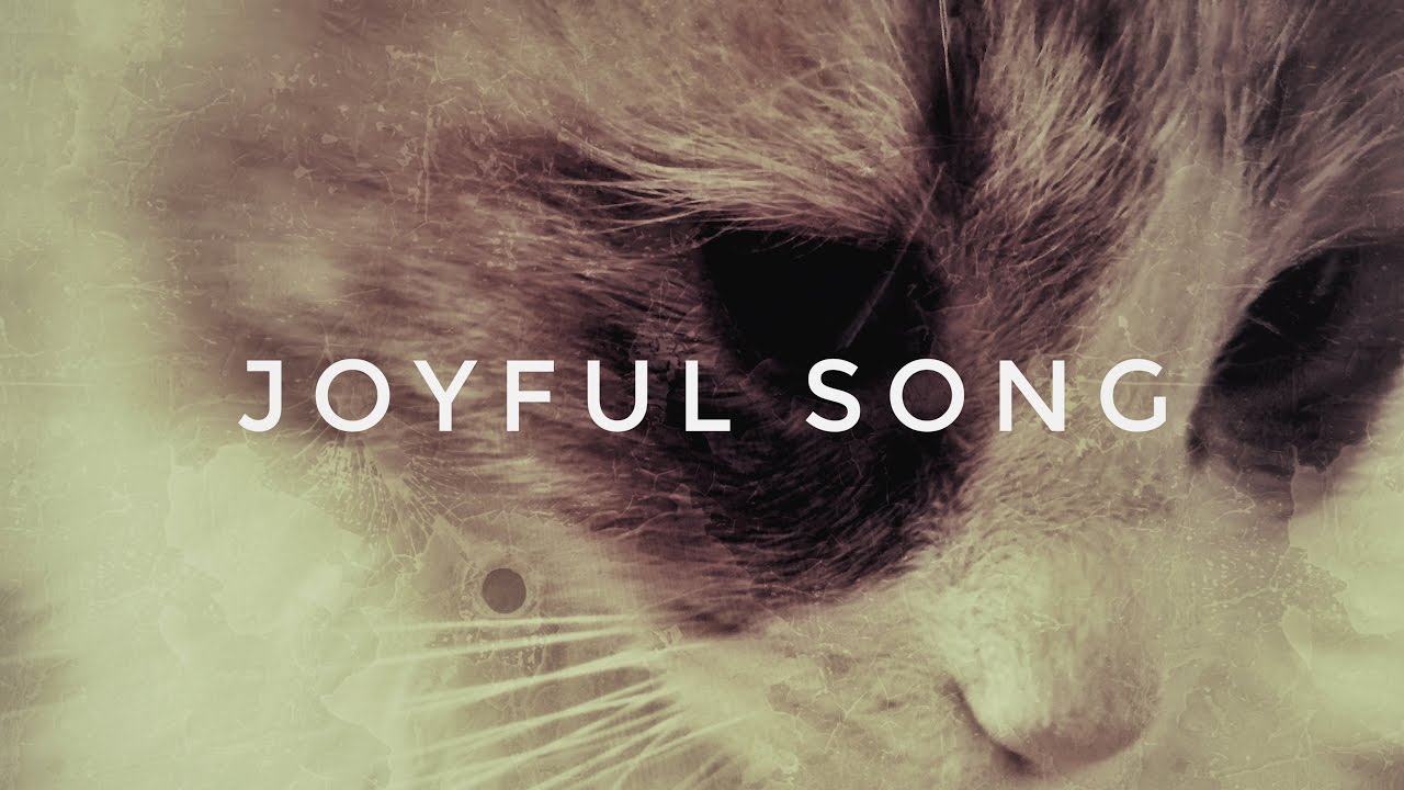Joyful Song - YouTube