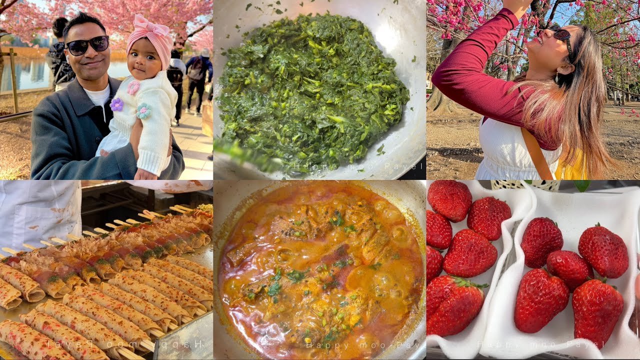 Anniversary উপলক্ষে উপহার কিনতে টোকিও গেলাম…বাড়ি ফিরে বানালাম Simple মাছের ঝোল ভাত 