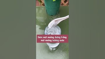 Hướng Dẫn Tự Làm Phân Kích Rễ Cực Mạnh #hoadedetrong #meotrongcay #cachtrongcay