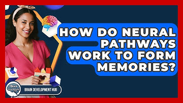 How Do Neural Pathways Work To Form Memories? - Brain Development Hub