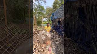 Sob se 🥲 Assamese Mini Vlog#minivlog #shortsfeed