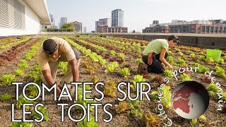 [ Citoyens pour Demain #2 ] Des tomates sur les toits