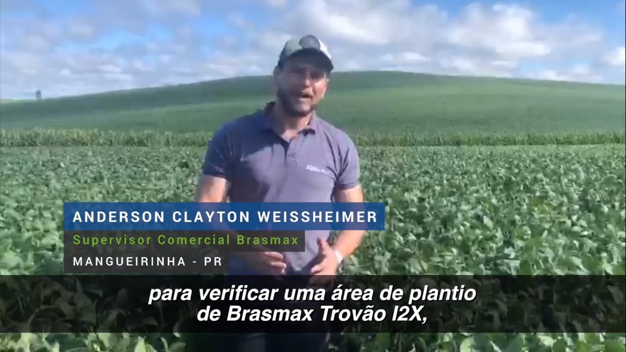 Soja Brasmax Nexus I2X - Cambé/PR [Safra 20/21] 