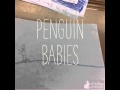 Penguin research: sharlie