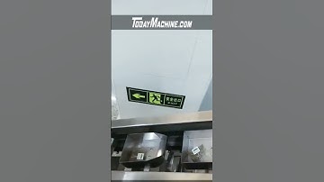 Linear Weigher Single Head Cereal Grain Fruit Vegetable Packaging Machine With Linear Weigher