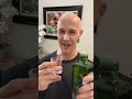 GUT CLEANSING!  Dr. Mandell
