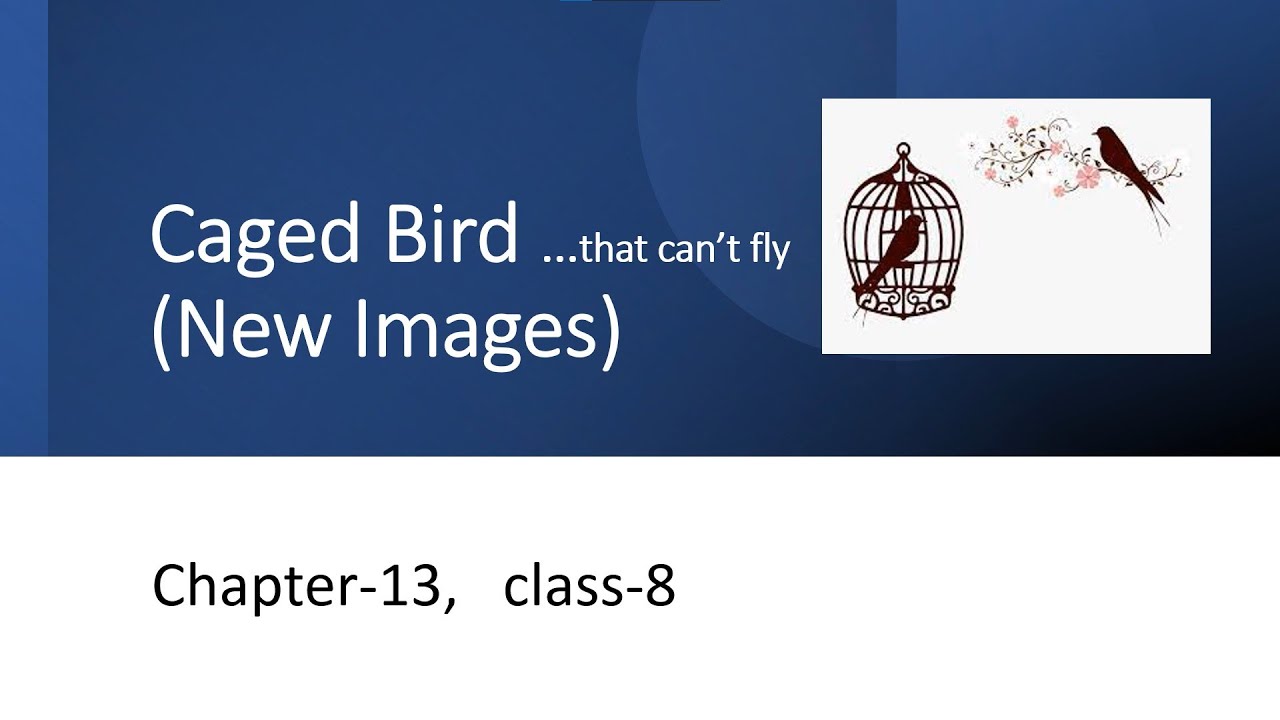 Caged Bird , New Images, class8,ch13 FULL EXPLANATION YouTube