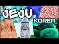 Последний день на Чеджу/ KOREA VLOG/