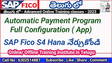 Auto Matic Payment Program APP Configuration in Telugu FICO SAP - By Lokesh