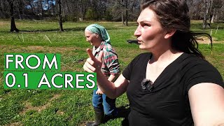 40 Acres and a Dream: Rotational Grazing Adventure in Suburban Georgia