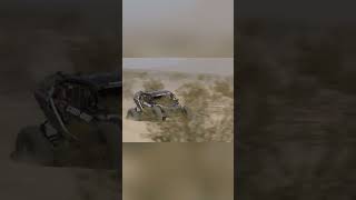 Unleash the Beast: Epic Desert Racing Thrills! #shorts