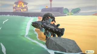 Animal Crossing How to CATCH A COELACANTH FISH