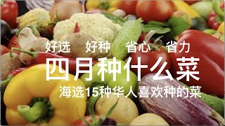 四月 种什么菜 海选这15种蔬菜,好吃好种。 四月 种什么菜 海选这15种蔬菜,好吃好种。