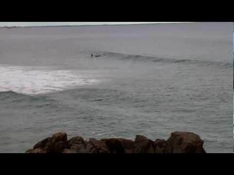 Surfers and Elevators - The Miracle Journal