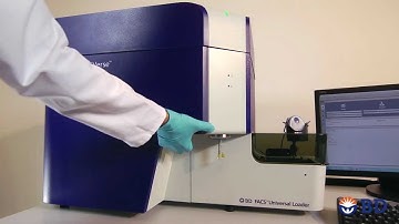 BD FACSverse Flow Cytometer