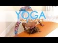 Yoga Arm Balance Practice, Build up to Firefly, Tittibhasana with Kino
