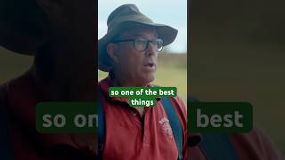 Diversity of animals creates pathogen confusion #regenerativeagriculture #farming #joelsalatin