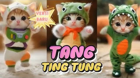 TANG TING TUNG VERSI KUCING LUCU BARU