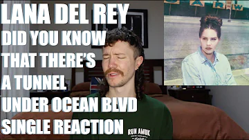LANA DEL REY - DID YOU KNOW THAT THERE'S A TUNNEL UNDER OCEAN BLVD SINGLE REACTION