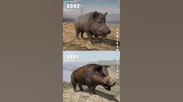 This is HOW you IMPROVE your game - RDR1 vs RDR 2 ANIMALS graphics comparison