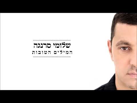 שלומי סרנגה - המילים הטובות | Shlomi Saranga - Hamilim Hatovot