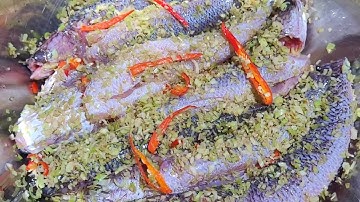 Muối cá không muối bằng muối ,cá lóc muối sả ớt cách này thơm ngon hơn nhiều