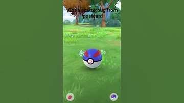 got a hundo scatterbug #pokémon #pokemongo