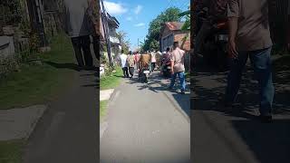 Download Lagu mumpung masih hidup MP3