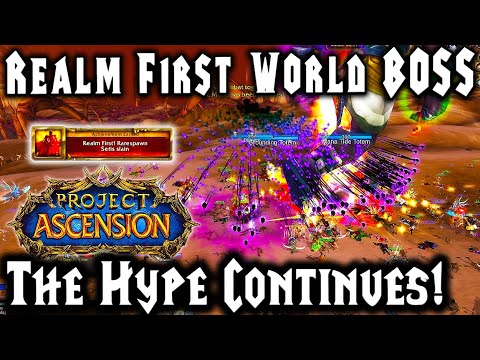 INSANE Realm First World Boss in Ascension Bronzebeard ! Warcraft ...