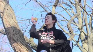 Spider Monkey