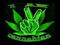 SPANISH HIP-HOP ESPAÑOL PREDIKADOR FUMO MARIHUANA
