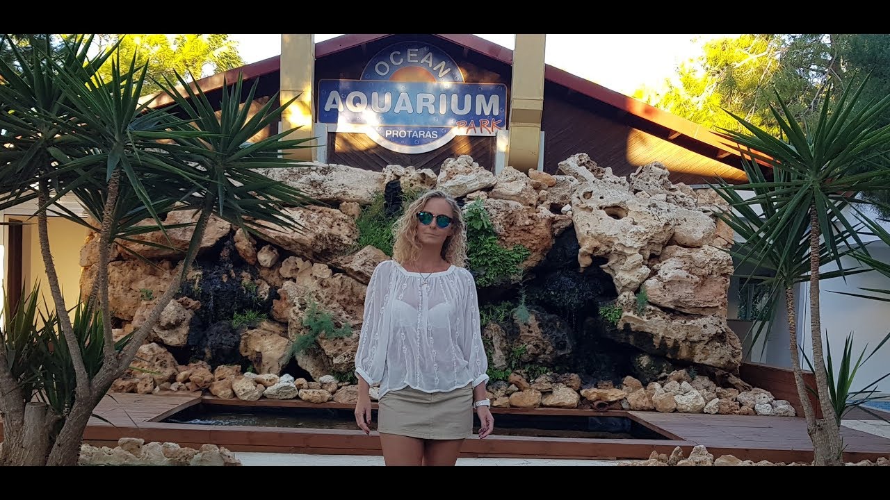 Ocean Aquarium Cyprus Protaras 4K YouTube