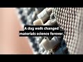 A dog walk changed materials science forever #shorts
