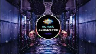 不是因为寂寞才想你 REMIX -MC Music Studio