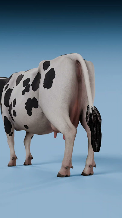 Mouse Fart vs Godzilla Fart